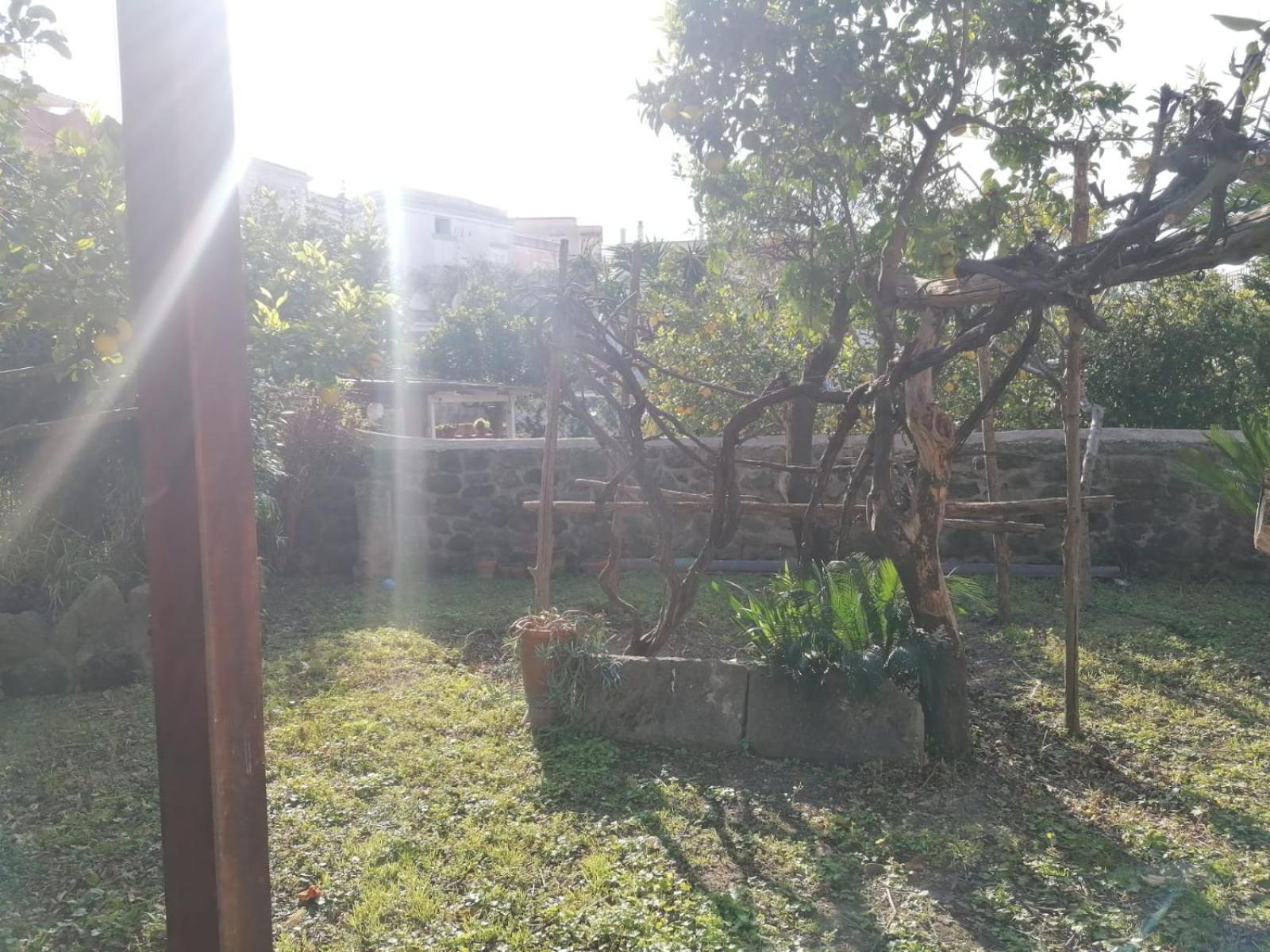 Forio di Ischia Dimora Coloniale B&B المظهر الخارجي الصورة